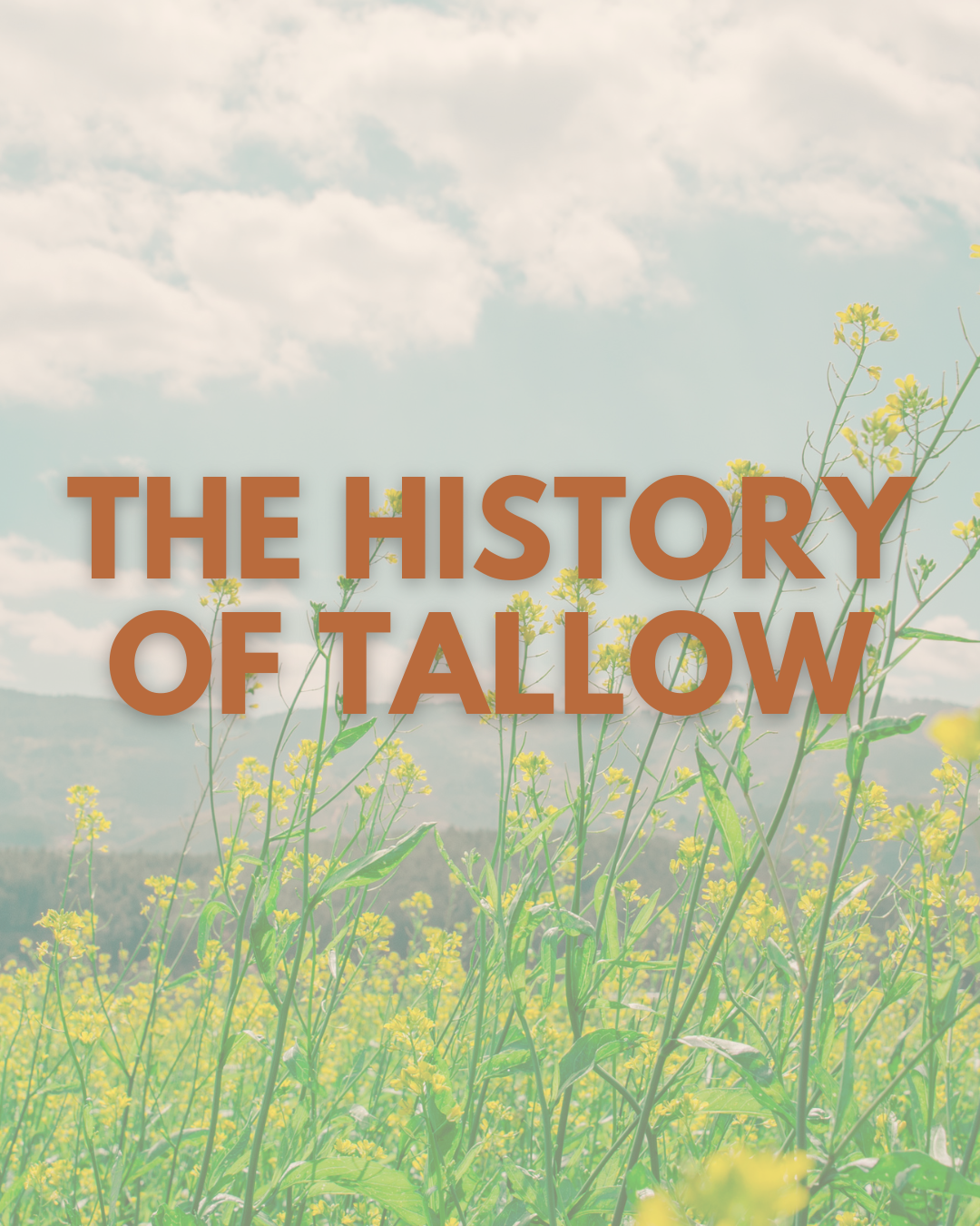 The History of Tallow: A Journey Through Time